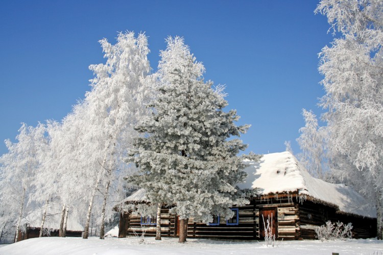 Zimowy Skansen w Wygiełzowie